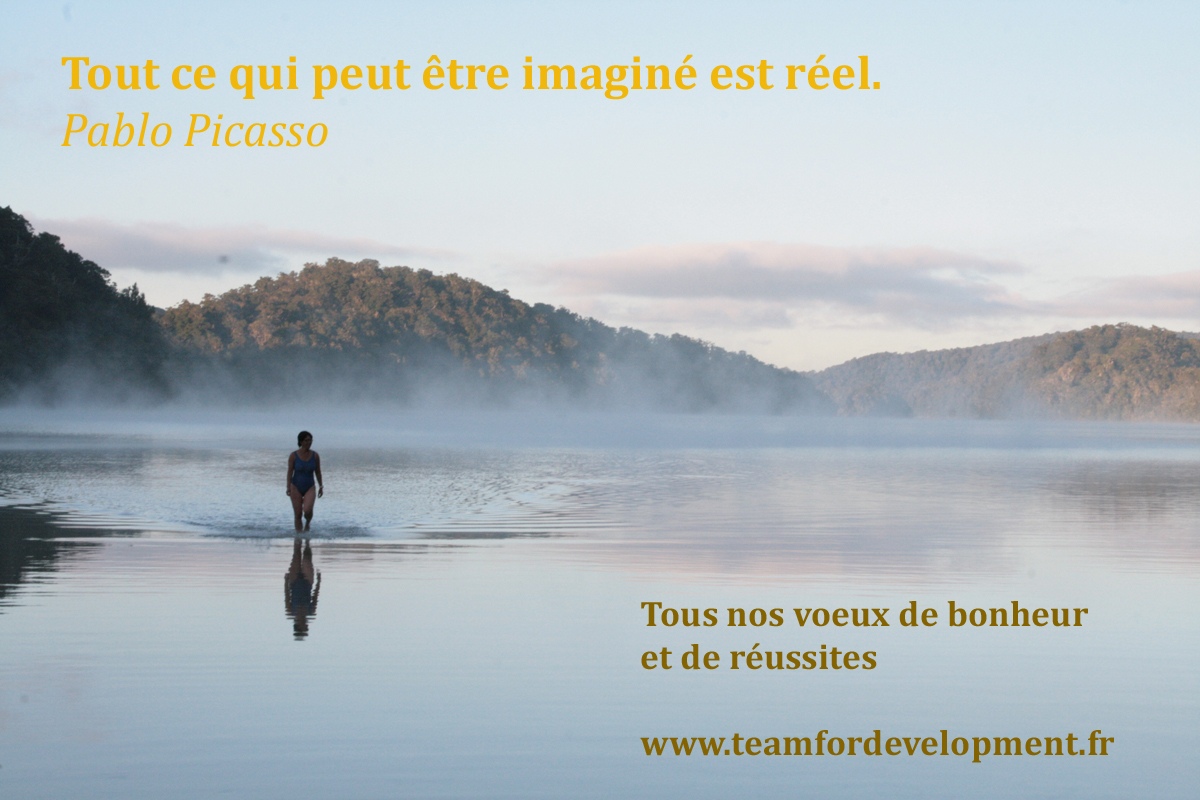 Voeux de motivation et de performance avec « un peu » de coaching systémique !