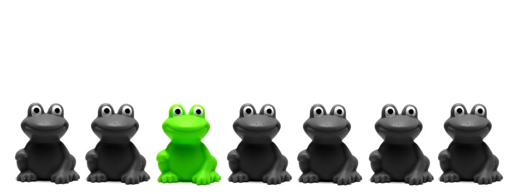 frogs